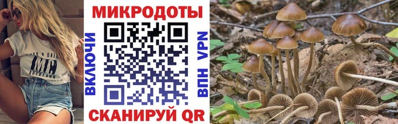 KRAKEN tor  Балей  Галлюциногенные грибы Cubensis  магазин  наркотиков 